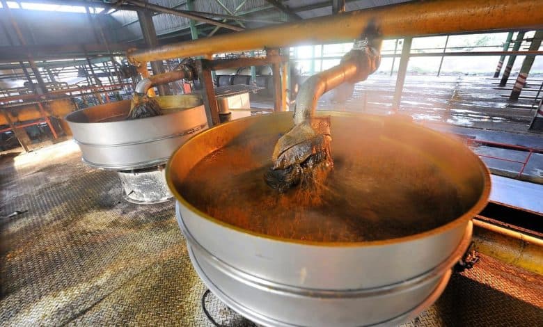 Usine d'extraction d'huile de palme