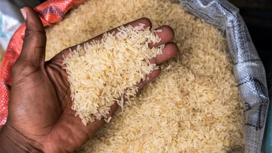 riz