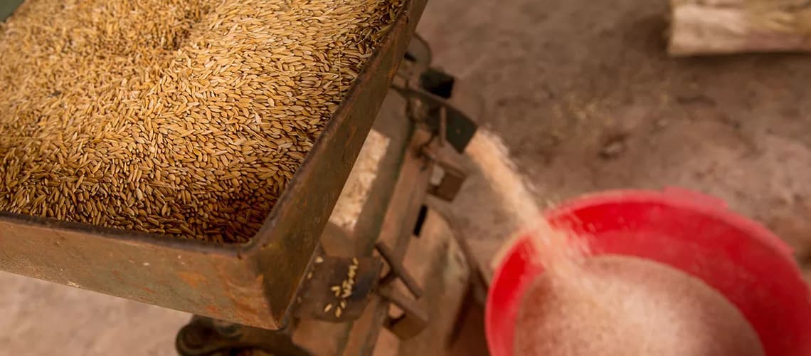 Filière rizicole : une usine de transformation de riz inaugurée à Yagoua