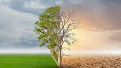 Changement climatique