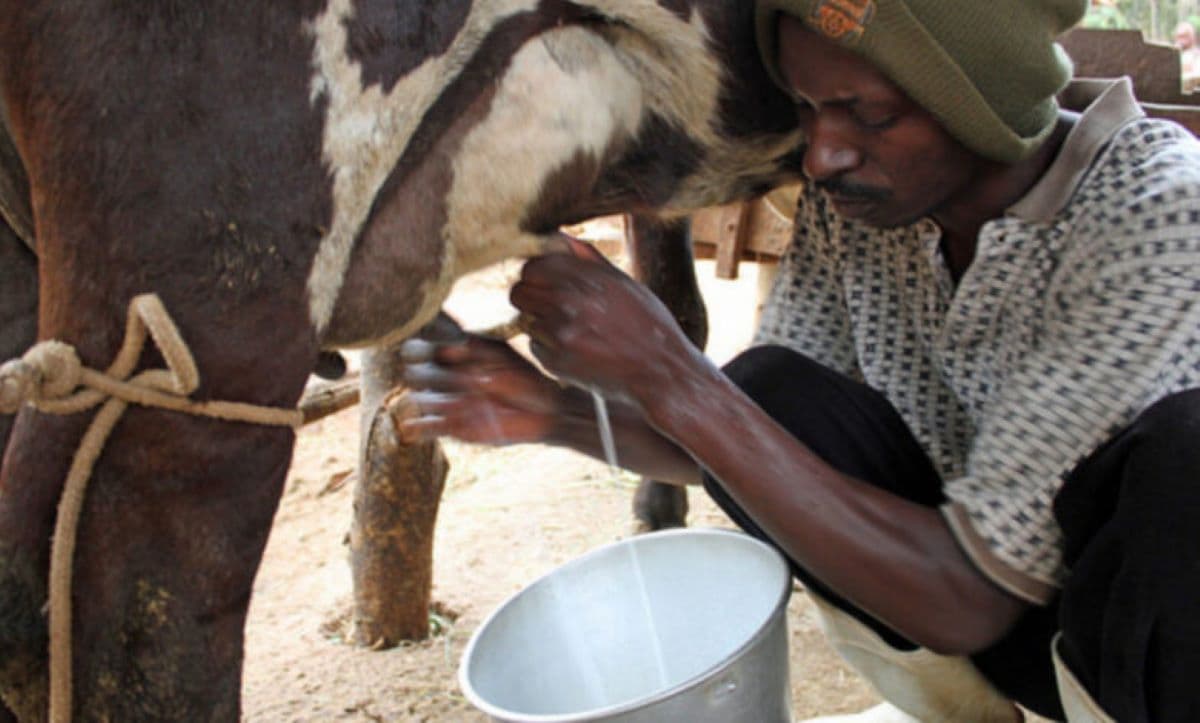 Promo-
