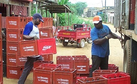 Distribution de la bière