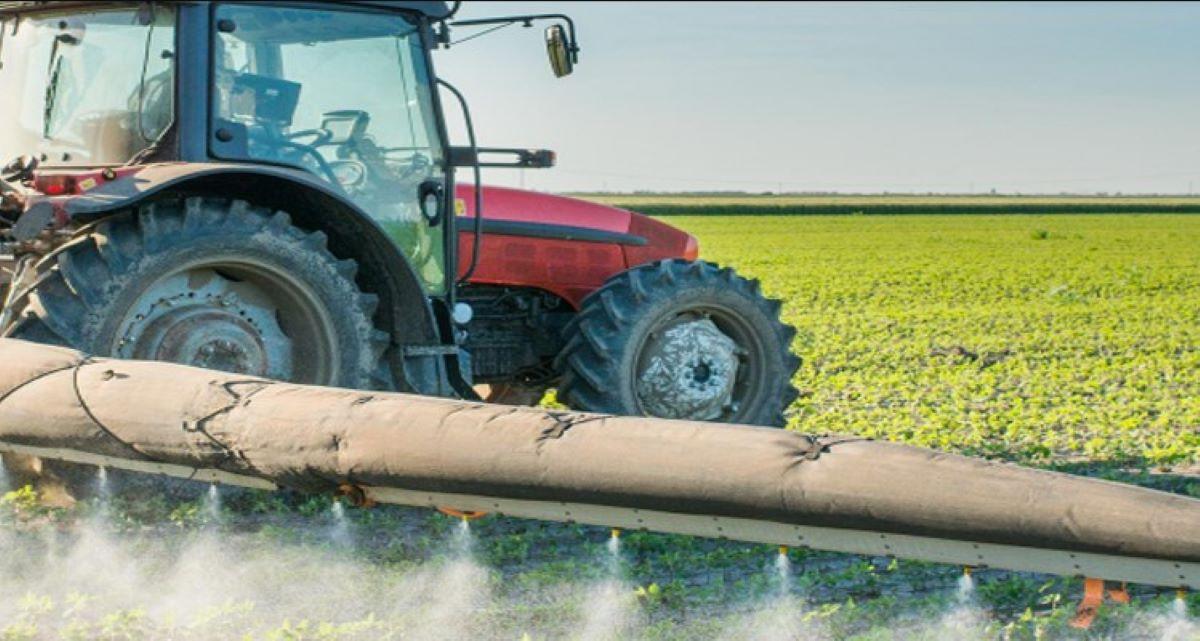 Projet d'irrigation au Tchad