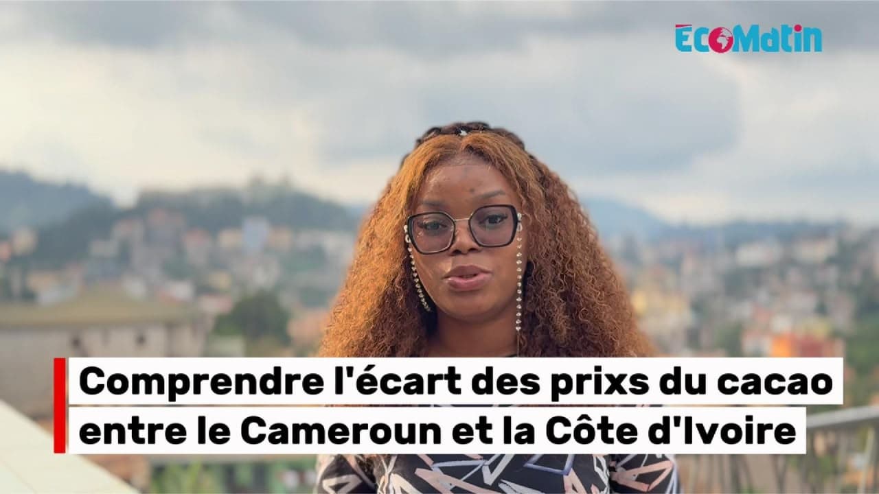Comprendre l'écart des prixs du cacao entre le Cameroun et la Côte d'Ivoire