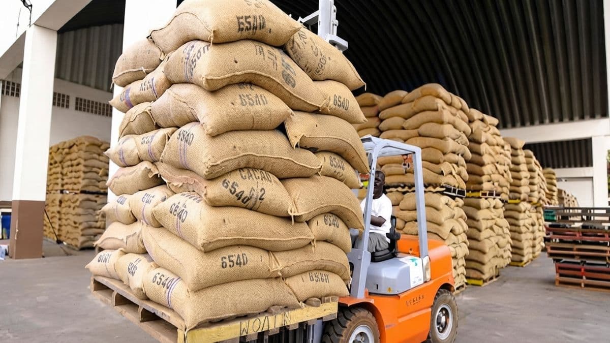 cacao Ue