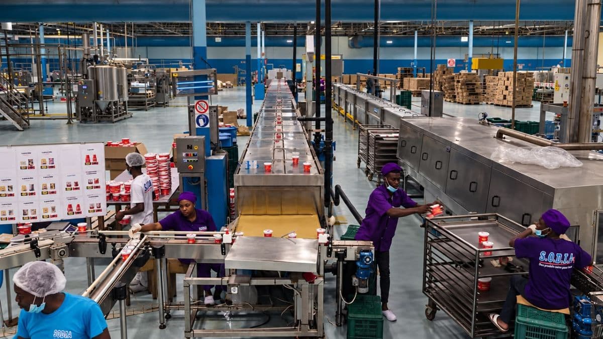 complexe agro alimentaire