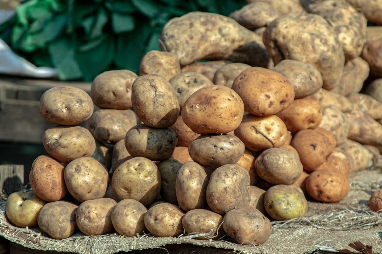 tas de pommes