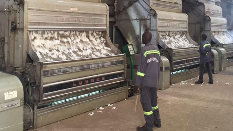 Filière coton: environ deux milliards FCFA de fonds des producteurs détenus à la Sodecoton