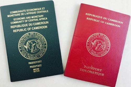1001-9835-henley-partners-passport-index-cameroon-among-the-least-competitive-in-the-cemac-region_L