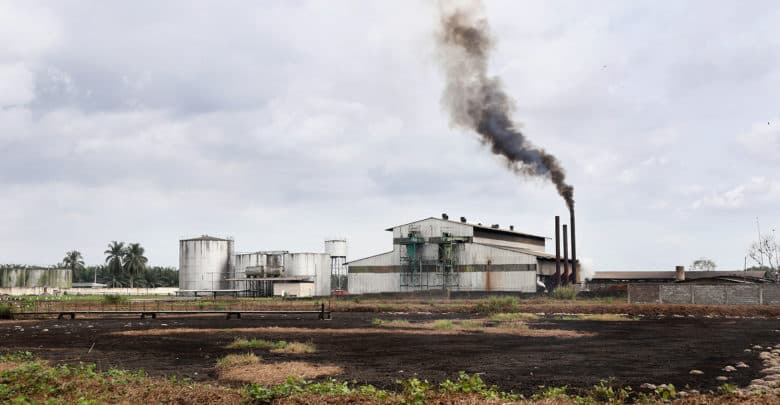 ecomatin.net-la-socapalm-fait-un-chiffre-daffaires-de-3692-milliards-de-fcfa-au-premier-semestre-2019-photo-socapalm-1-780x405