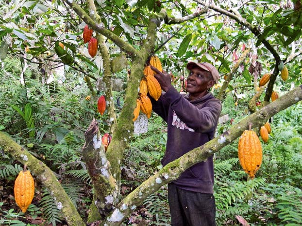 Il faut produire et exporter plus pour rééquilibrer les comptes extérieurs du Cameroun.+