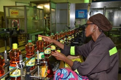 1505-12647-hausse-de-64-des-ventes-d-huile-a-la-sodecoton-avec-a-la-cle-une-augmentation-du-chiffre-d-affaires-de-7-milliards-de-fcfa-en-2-ans_L