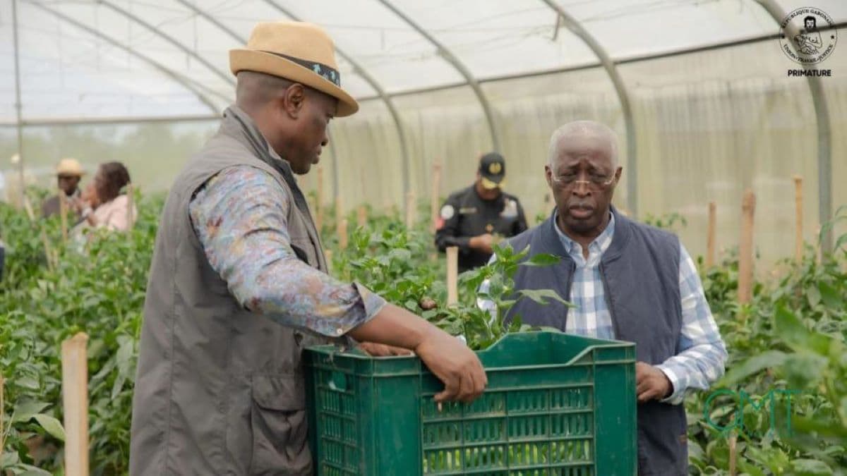 Le président gabonais Oligui Nguema sur le site Agropag de Ntoum