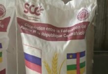 Un sac de farine de blé expédié en RCA